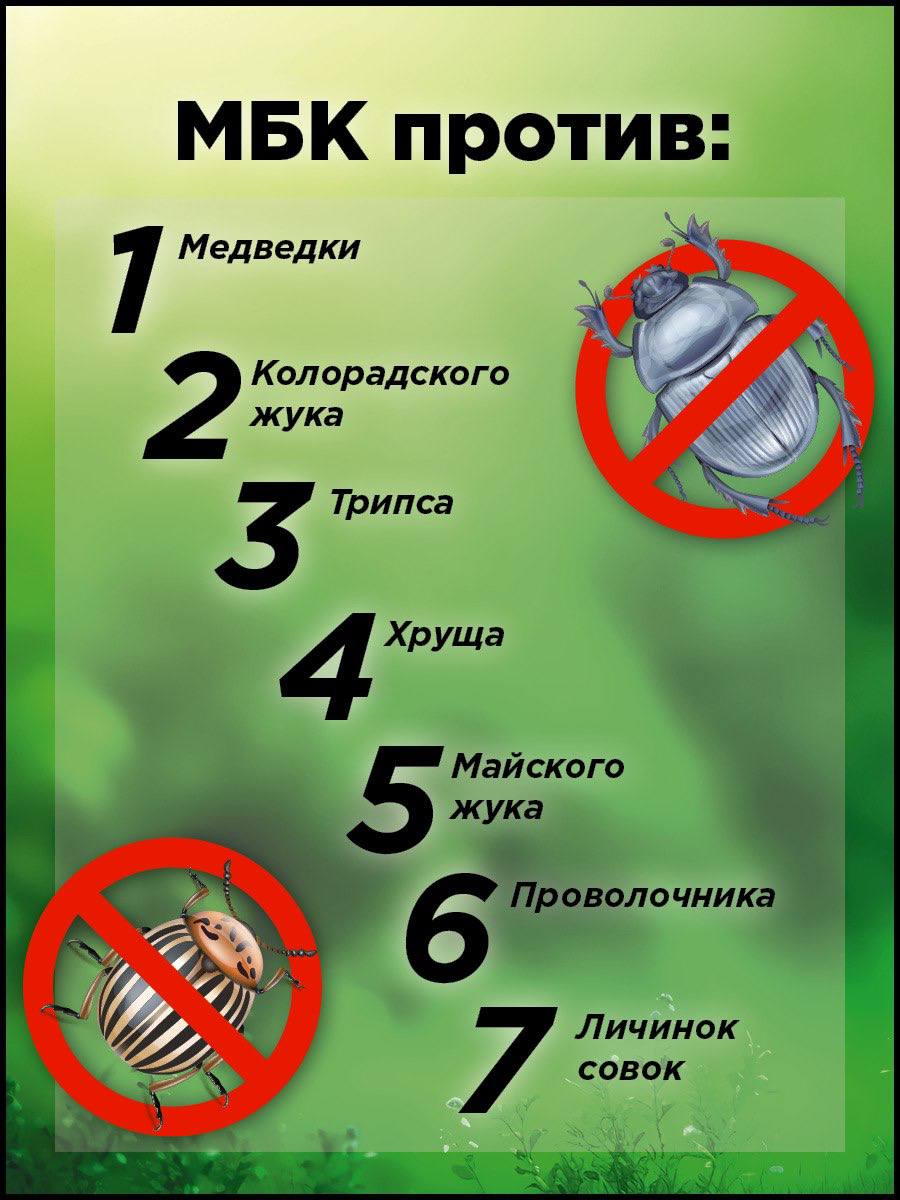jpg