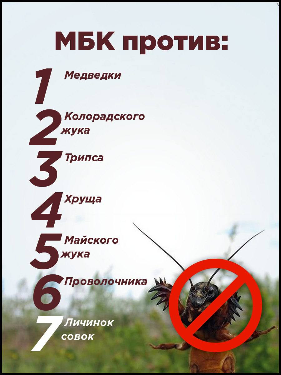 jpg
