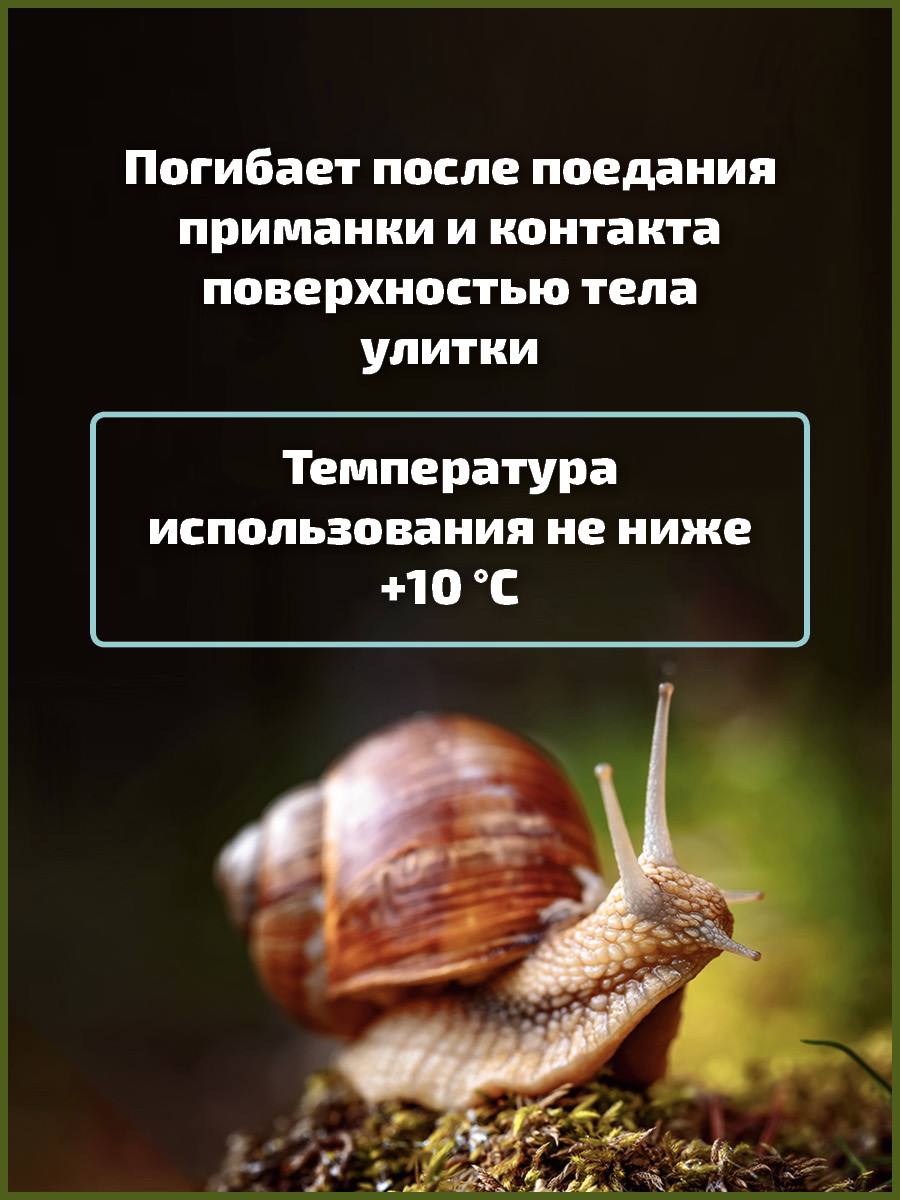 jpg