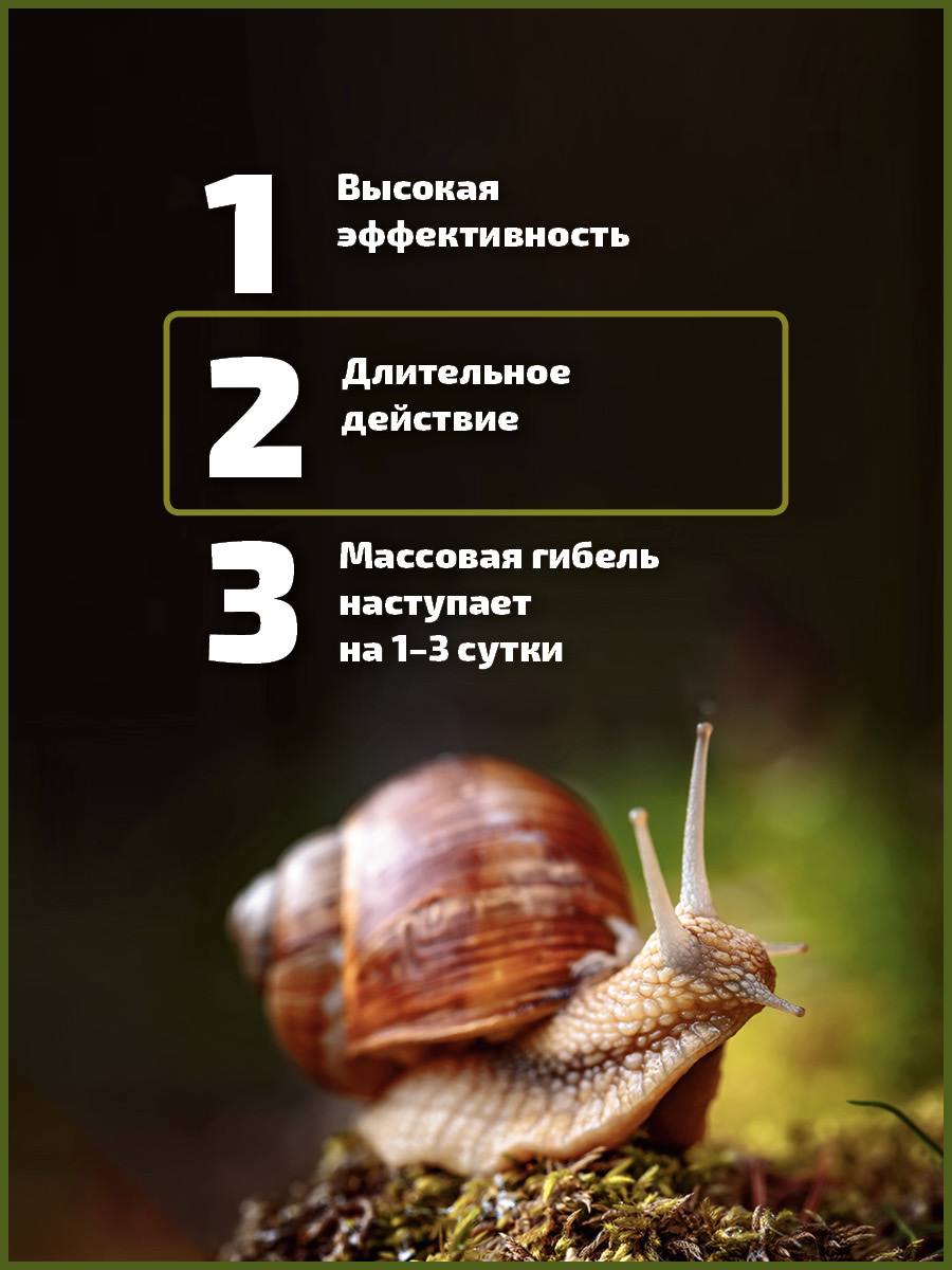 jpg