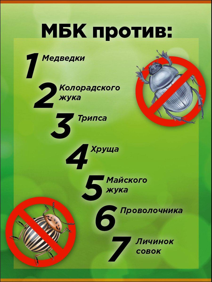 jpg