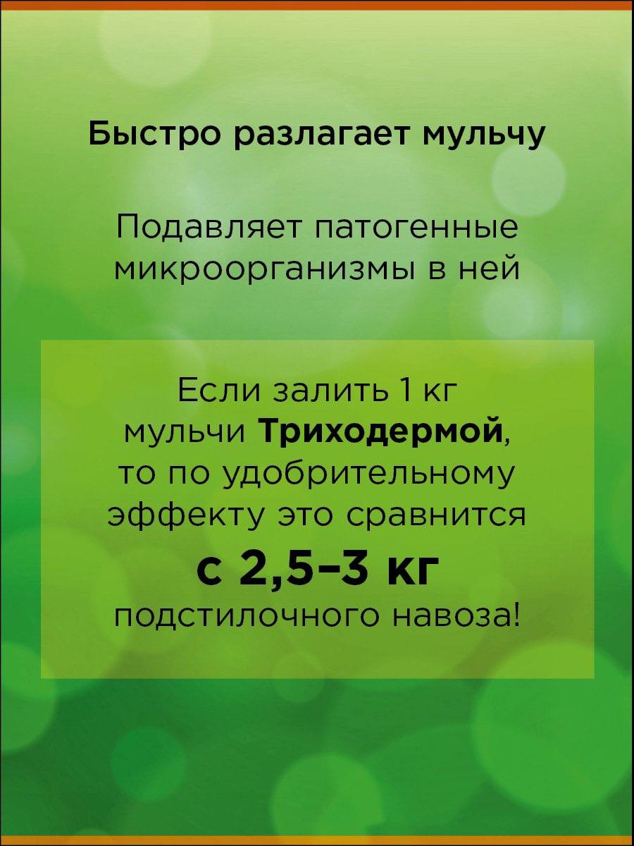 jpg
