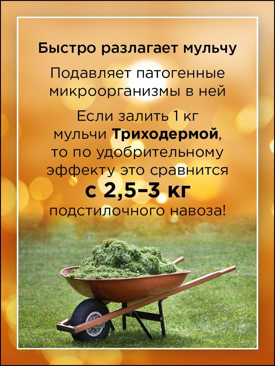 jpg