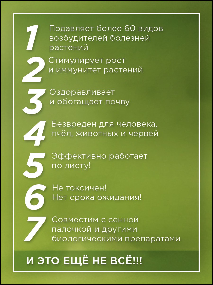 jpg