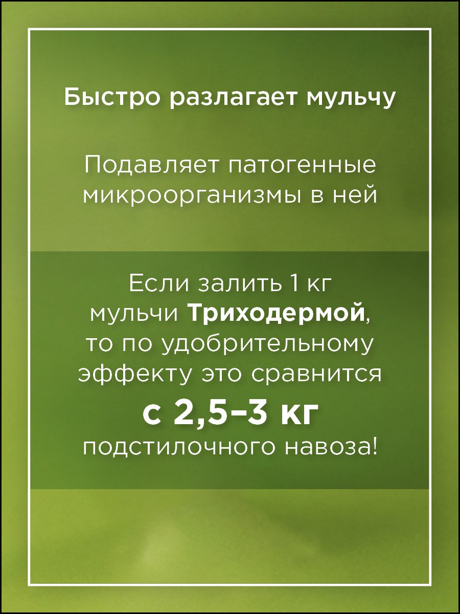 jpg