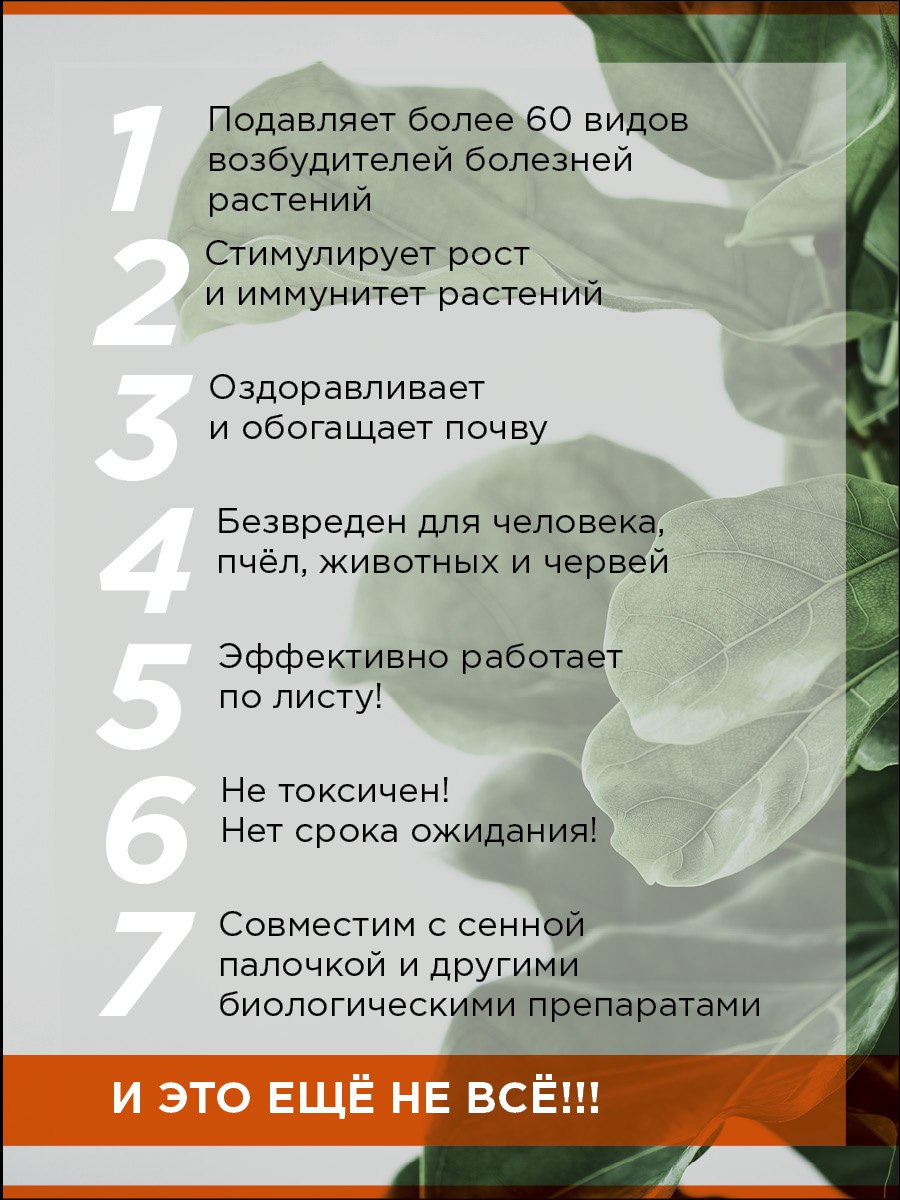 jpg