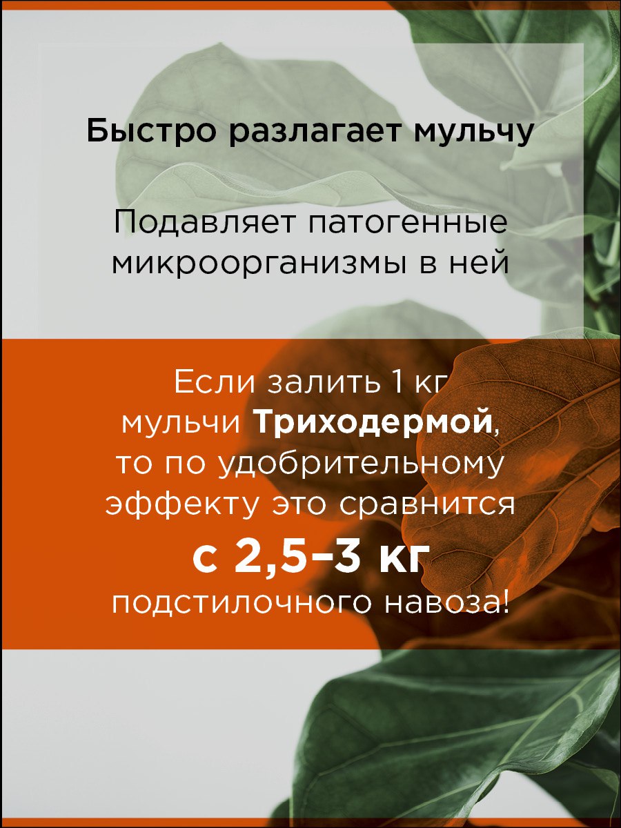 jpg