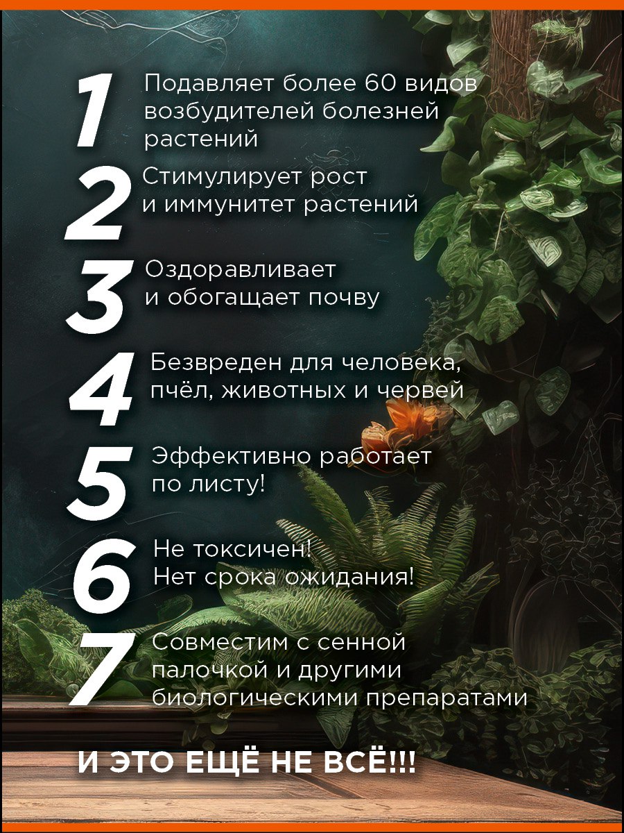 jpg
