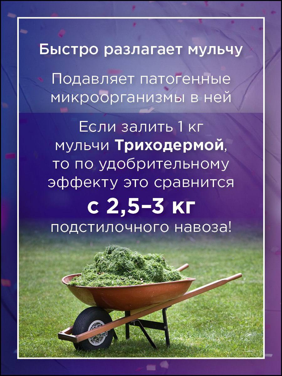 jpg